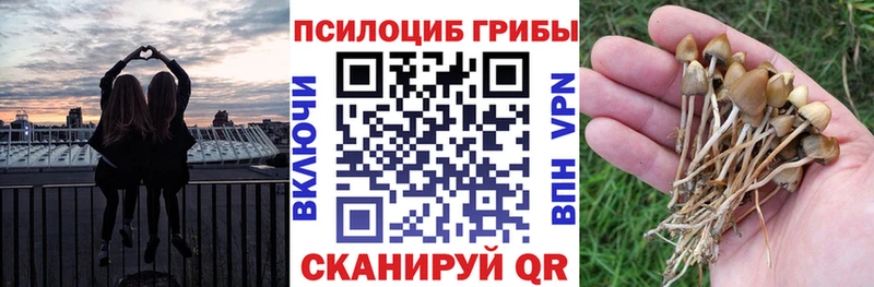 Галлюциногенные грибы GOLDEN TEACHER  купить наркотик  Жердевка 